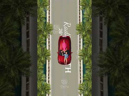 Save the Date Wedding Invitation Video